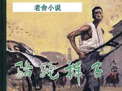 人与动物在线观看完整版